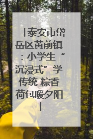 泰安市岱岳区黄前镇：小学生“沉浸式”学传统 粽香荷包暖夕阳
