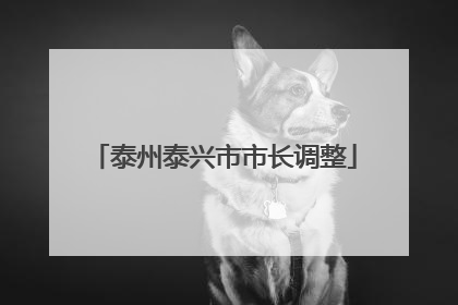 泰州泰兴市市长调整