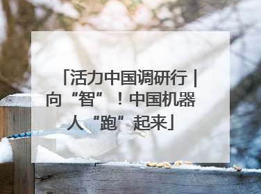 活力中国调研行｜向“智”！中国机器人“跑”起来