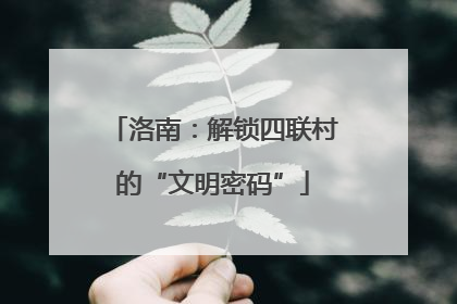 洛南：解锁四联村的“文明密码”