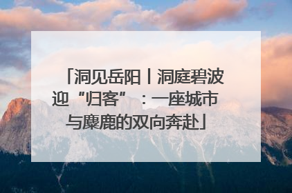 洞见岳阳丨洞庭碧波迎“归客”：一座城市与麋鹿的双向奔赴