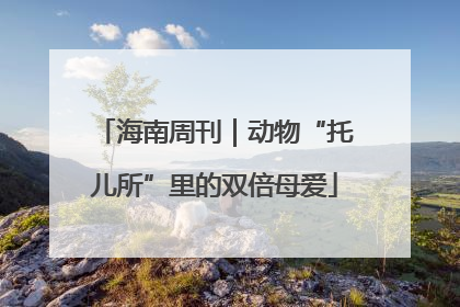 海南周刊｜动物“托儿所”里的双倍母爱