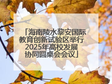 海南陵水黎安国际教育创新试验区举行2025年高校发展协同圆桌会会议