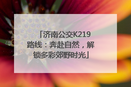 济南公交K219路线：奔赴自然，解锁多彩郊野时光
