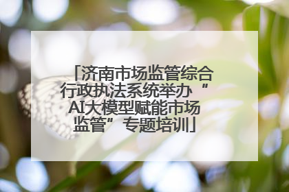 济南市场监管综合行政执法系统举办“AI大模型赋能市场监管”专题培训