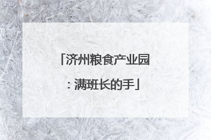 济州粮食产业园：满班长的手