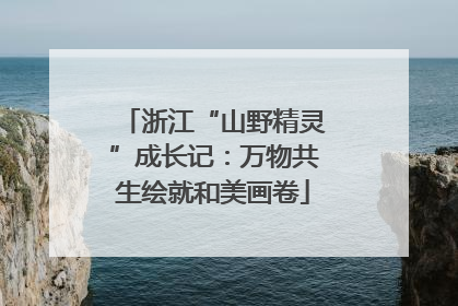 浙江“山野精灵”成长记：万物共生绘就和美画卷