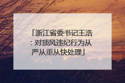 浙江省委书记王浩：对顶风违纪行为从严从重从快处理