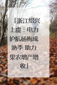 浙江绍兴上虞：电力护航杨梅成熟季 助力果农增产增收