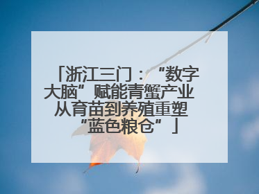 浙江三门：“数字大脑”赋能青蟹产业 从育苗到养殖重塑“蓝色粮仓”