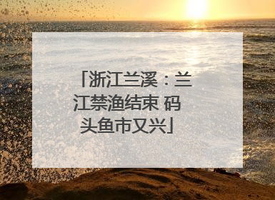 浙江兰溪：兰江禁渔结束 码头鱼市又兴