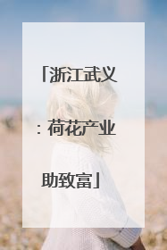 浙江武义：荷花产业助致富