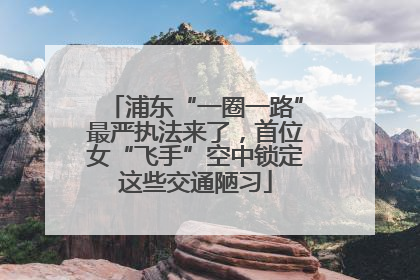 浦东“一圈一路”最严执法来了，首位女“飞手”空中锁定这些交通陋习