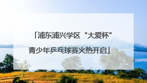 浦东浦兴学区“大爱杯”青少年乒乓球赛火热开启
