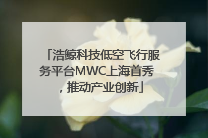 浩鲸科技低空飞行服务平台MWC上海首秀，推动产业创新