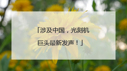 涉及中国，光刻机巨头最新发声！