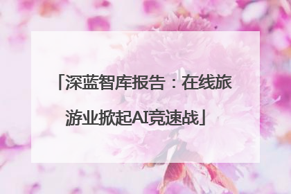 深蓝智库报告：在线旅游业掀起AI竞速战