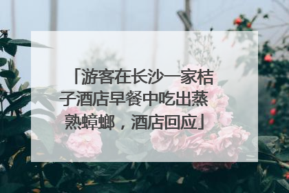 游客在长沙一家桔子酒店早餐中吃出蒸熟蟑螂，酒店回应