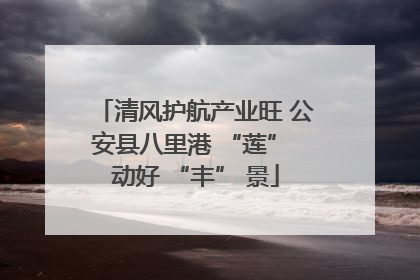 清风护航产业旺 公安县八里港 “莲” 动好 “丰” 景