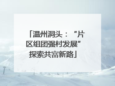 温州洞头：“片区组团强村发展”探索共富新路