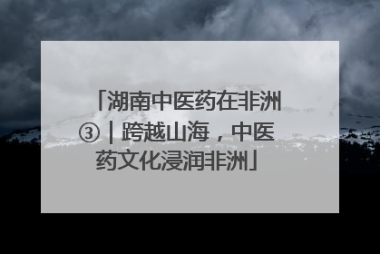 湖南中医药在非洲③｜跨越山海，中医药文化浸润非洲