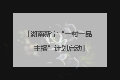 湖南新宁“一村一品一主播”计划启动