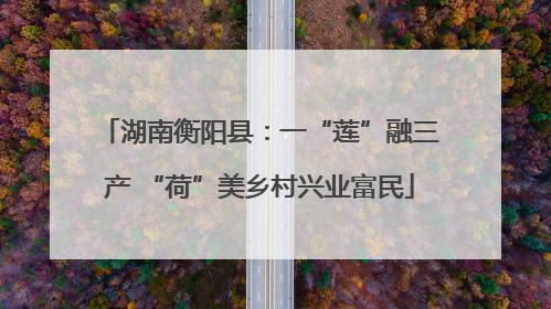 湖南衡阳县：一“莲”融三产 “荷”美乡村兴业富民