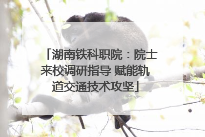 湖南铁科职院：院士来校调研指导 赋能轨道交通技术攻坚
