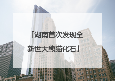 湖南首次发现全新世大熊猫化石