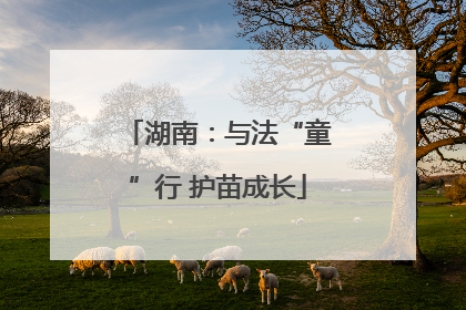 湖南：与法“童”行 护苗成长