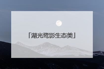 湖光鹭影生态美