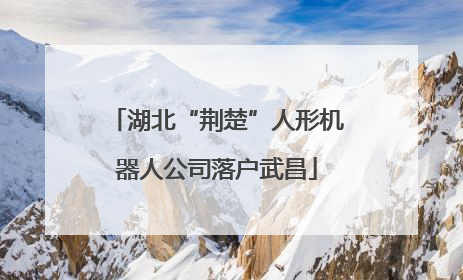 湖北“荆楚”人形机器人公司落户武昌