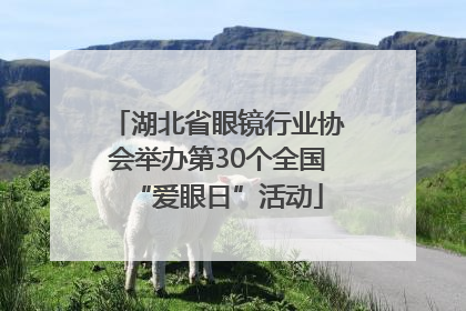 湖北省眼镜行业协会举办第30个全国“爱眼日”活动