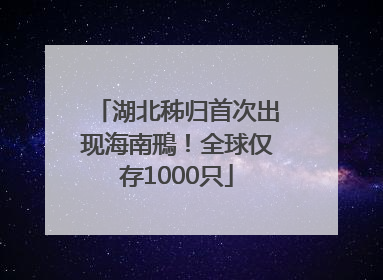 湖北秭归首次出现海南鳽！全球仅存1000只