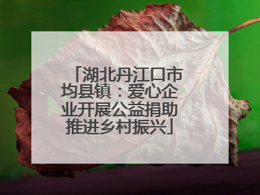 湖北丹江口市均县镇：爱心企业开展公益捐助推进乡村振兴
