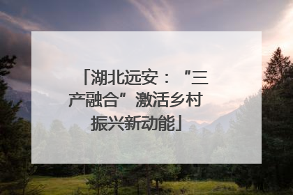 湖北远安：“三产融合”激活乡村振兴新动能