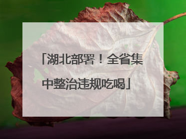 湖北部署！全省集中整治违规吃喝