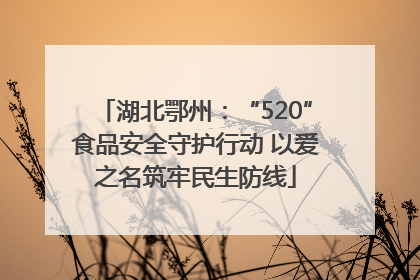 湖北鄂州：“520”食品安全守护行动 以爱之名筑牢民生防线