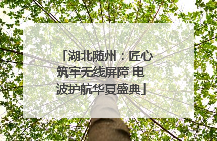 湖北随州：匠心筑牢无线屏障 电波护航华夏盛典