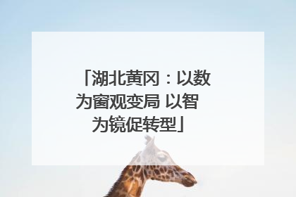 湖北黄冈：以数为窗观变局 以智为镜促转型