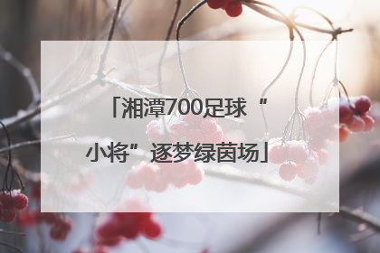 湘潭700足球“小将”逐梦绿茵场