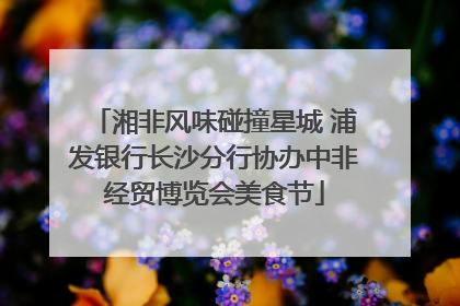 湘非风味碰撞星城 浦发银行长沙分行协办中非经贸博览会美食节