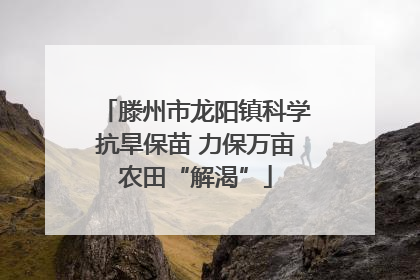 滕州市龙阳镇科学抗旱保苗 力保万亩农田“解渴”