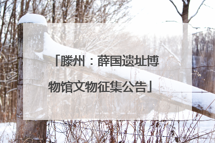 滕州：薛国遗址博物馆文物征集公告
