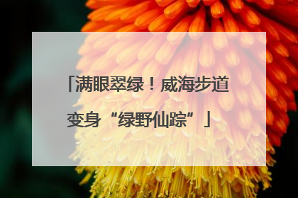 满眼翠绿！威海步道变身“绿野仙踪”