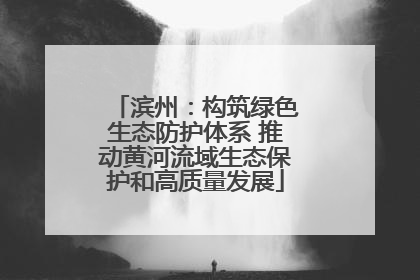 滨州：构筑绿色生态防护体系 推动黄河流域生态保护和高质量发展