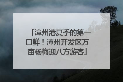漳州港夏季的第一口鲜！漳州开发区万亩杨梅迎八方游客