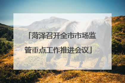 菏泽召开全市市场监管重点工作推进会议