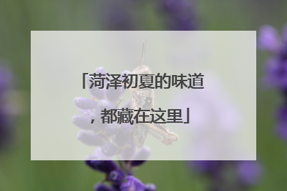 菏泽初夏的味道，都藏在这里