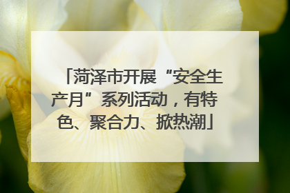 菏泽市开展“安全生产月”系列活动，有特色、聚合力、掀热潮